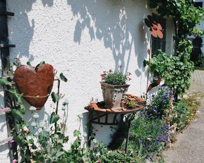 Ferienwohnung Auszeit In Ausnang Leutkirch im Allgäu المظهر الخارجي الصورة
